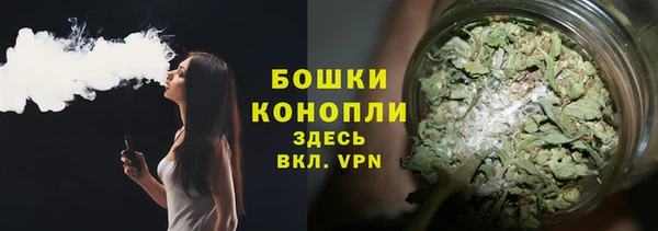 мет Дмитриев