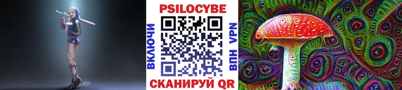 Псилоцибиновые грибы Psilocybe  Купить закладки  Новосокольники 